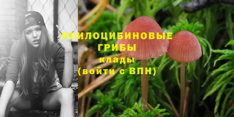 Галлюциногенные грибы Magic Shrooms Заозёрный